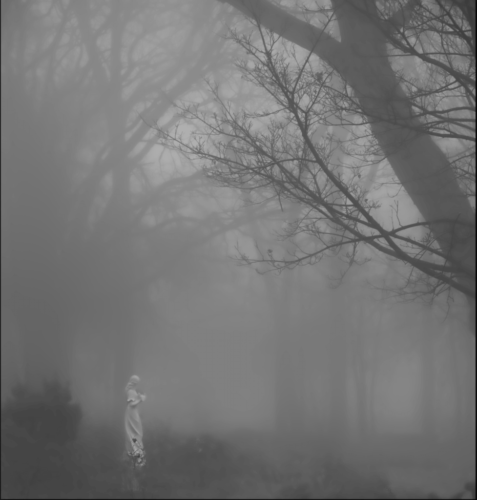 a statue of the Madonna in a foggy park