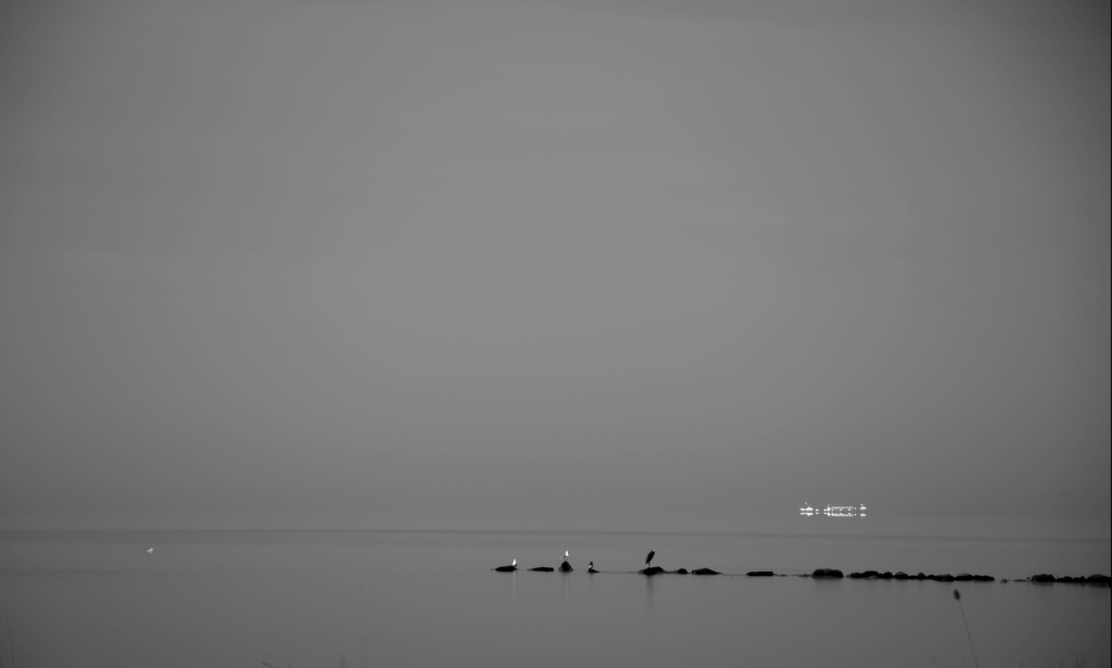 a foggy image of a illuminated freighter with birds in the foreground