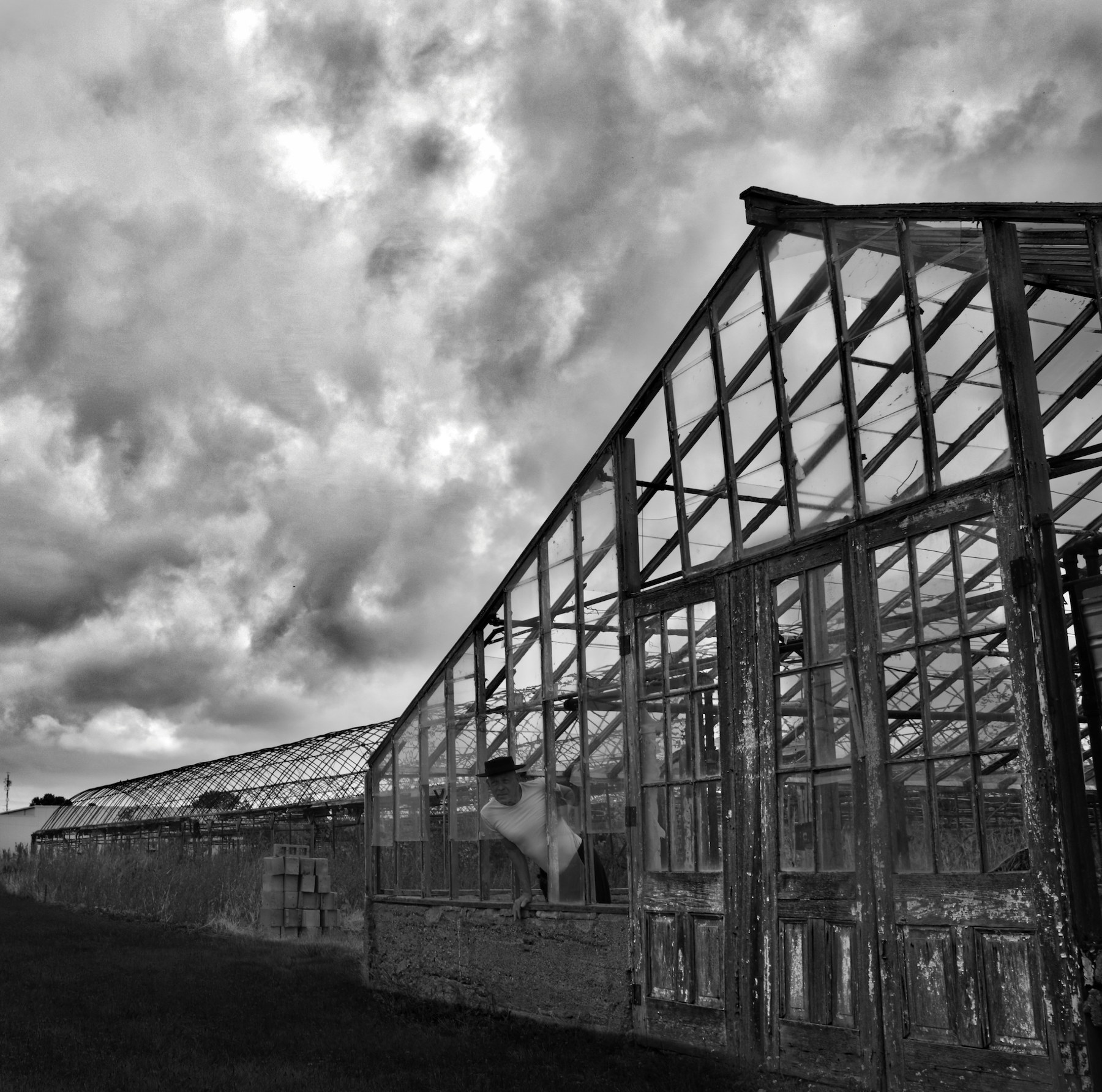 a man with a hat leaning out of a abandoned greenhouse