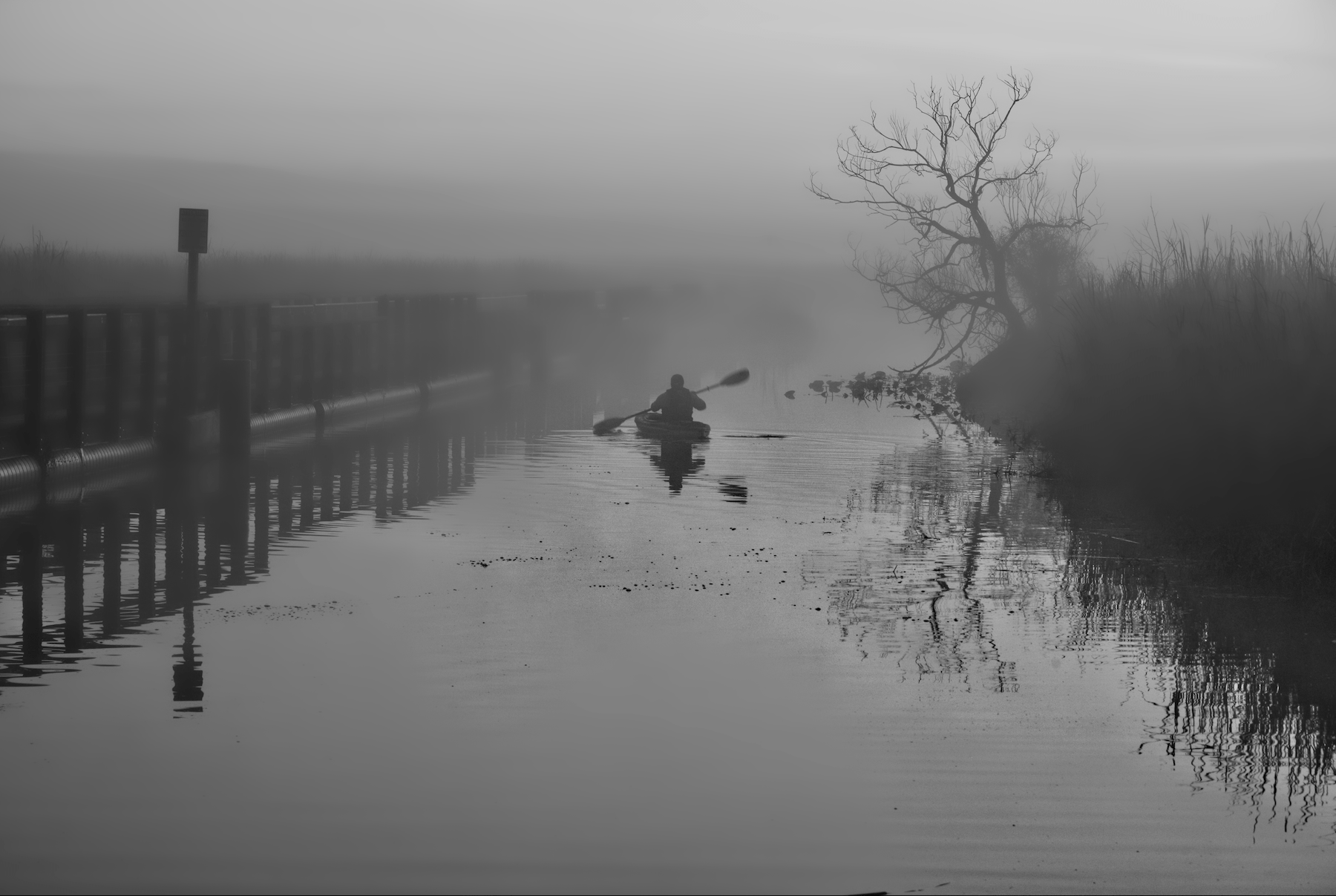 a kayaker padding away into a goggy cold morning