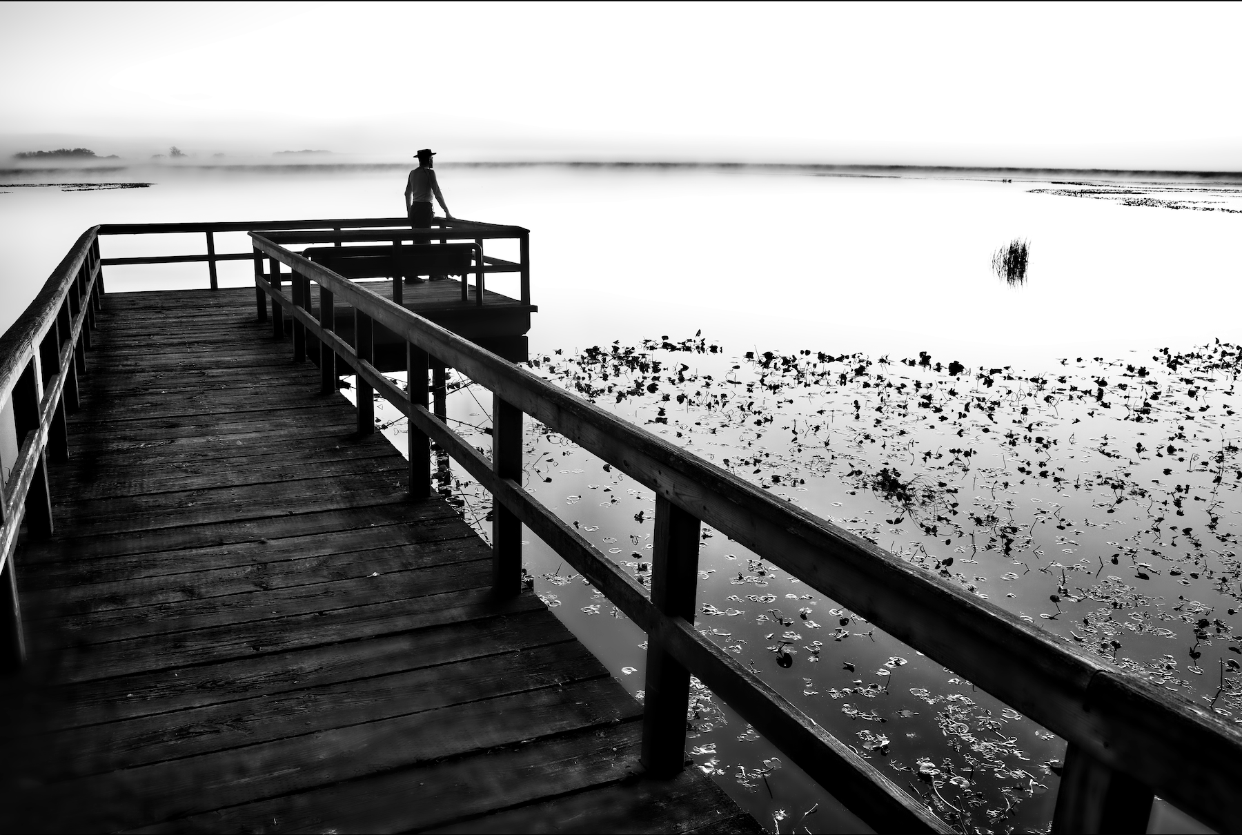 a man with a hat looking out on to a swamp with a fog rolling in