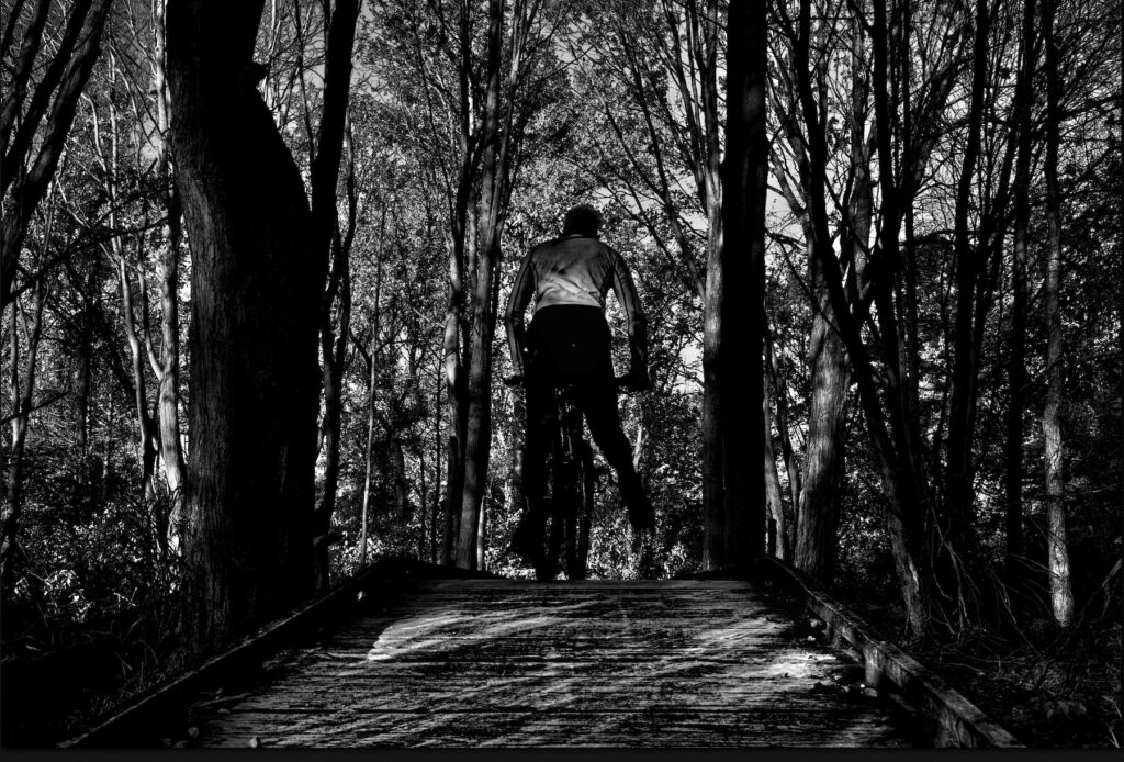bicyclist on a bridge in a park