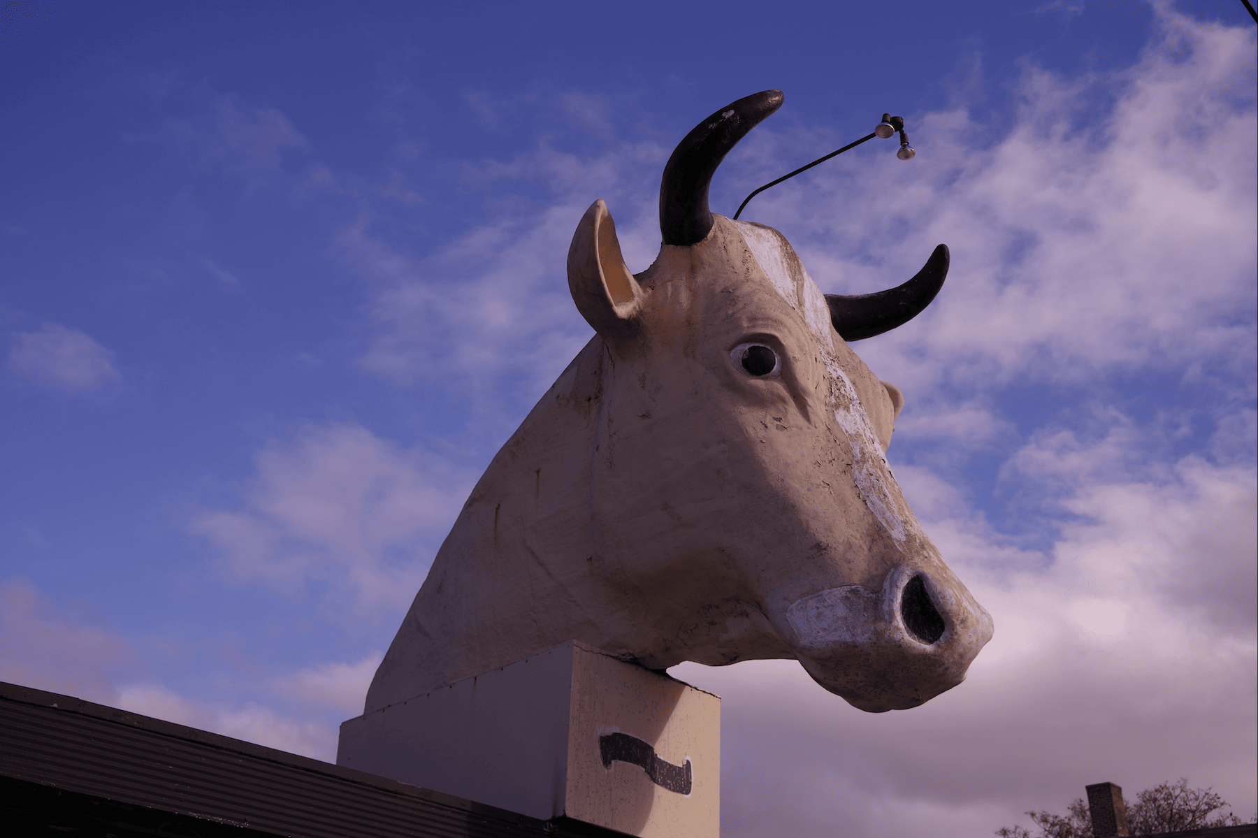 GIANT COWS HEAD ON TOP OF AN DEAD DINER IN DETROIT