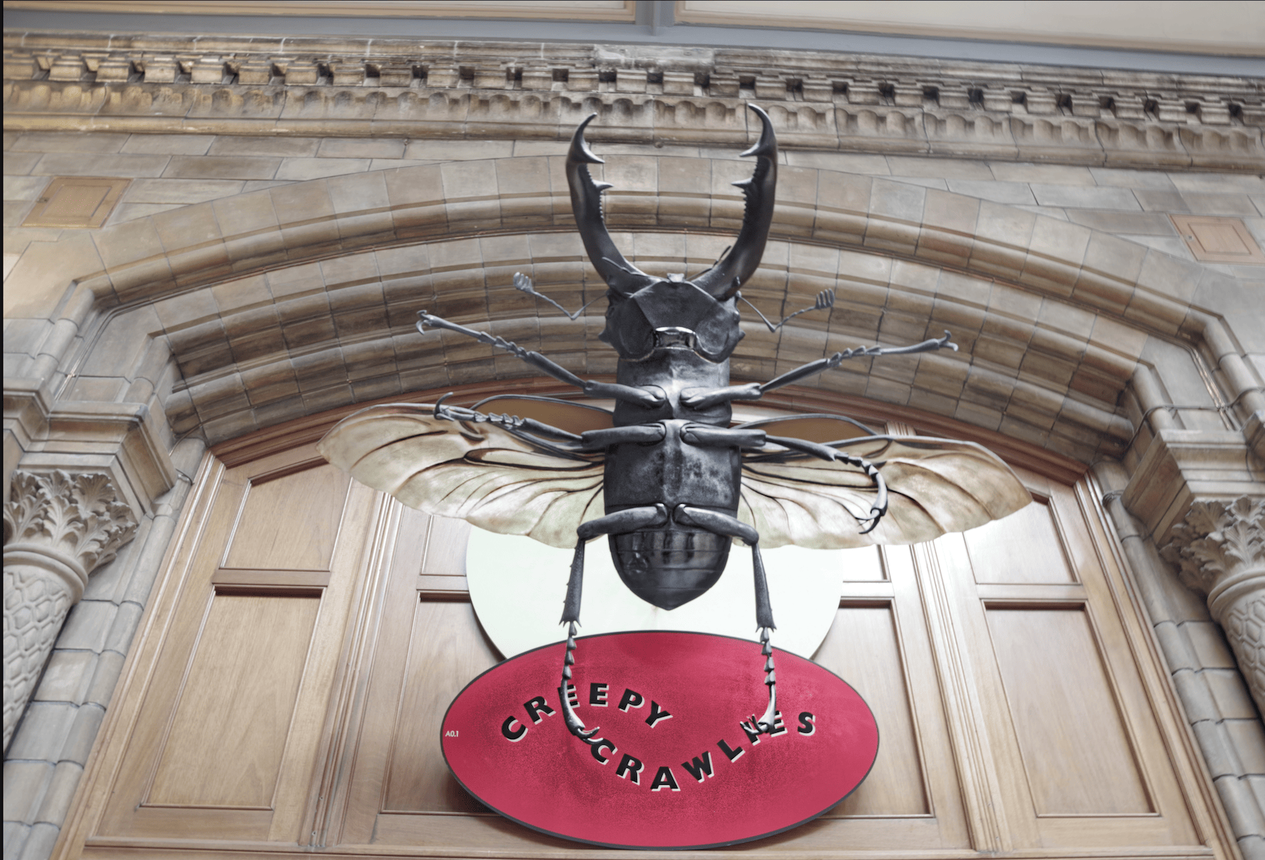 a giant stuffed beetle above the Creepy Crawlers display at the Natural History museum, London.