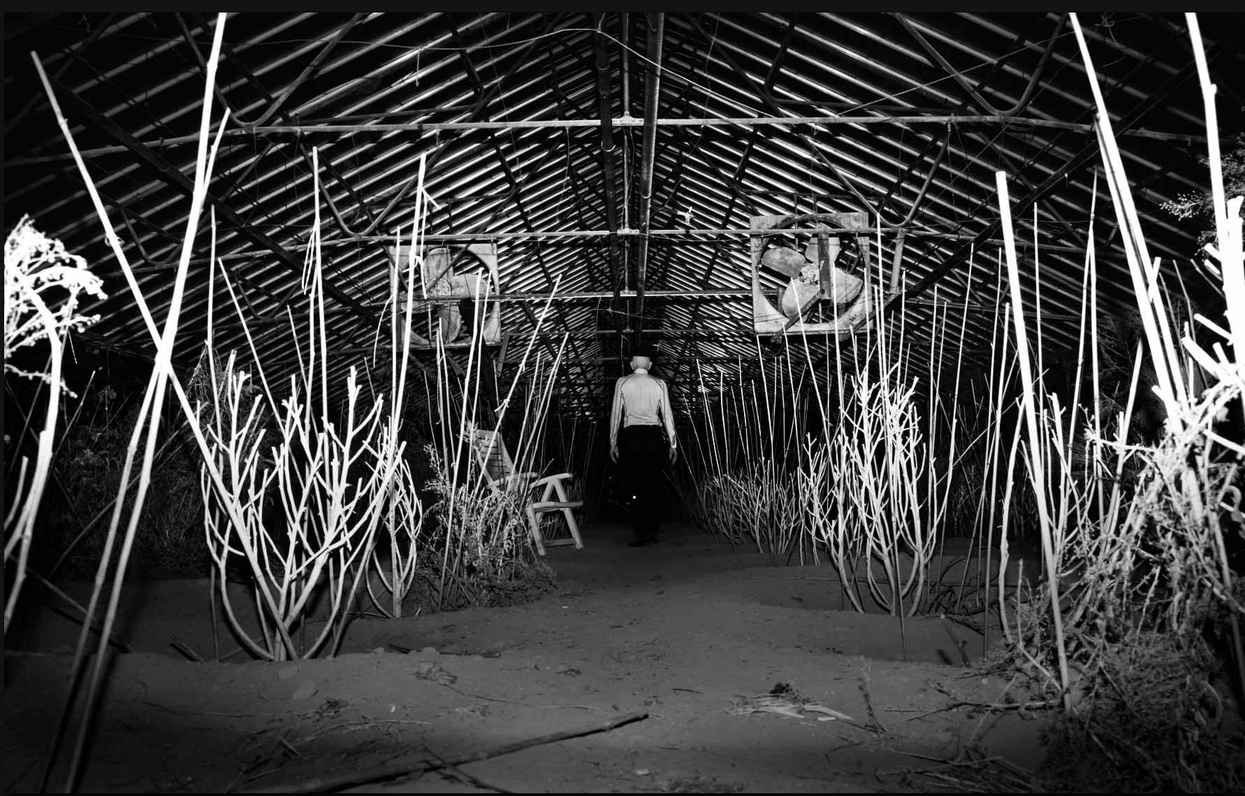 a man with a hat in an abandoned greenhouse